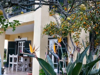 Villa Ferienhaus Ferienwohnung Strandhaus Korfu Chalikounas Efi Olgas