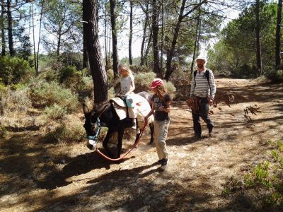 Nachhaltiger Tourismus kotourismus Portugal
