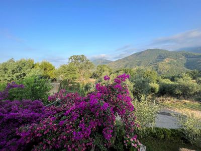aussicht geniessen panorama blick aus den ferienwohnunge 