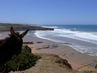 Wanderwoche mit Gepcktransport durch Esel an der Algarve Costa Vicentina Portugal