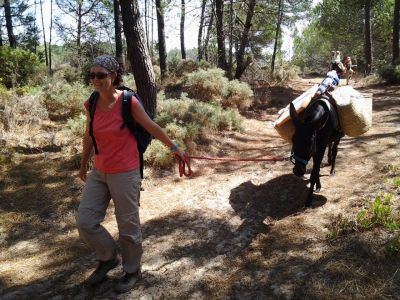 nachhaltig reisen kotourismus Portugal Eselwandern Algarve