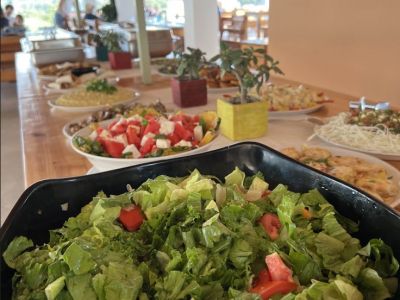 vegetarisch lecker naturverbunden buffet