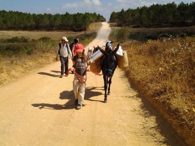 nachhaltig reisen kotourismus Portugal Eselwandern Algarve
