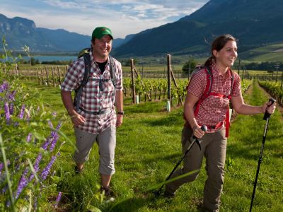 Wanderung durch Obstgrten bei Kaltern