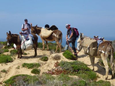 Wanderurlaub mit Gepcktransport durch Esel Agarve Portugal