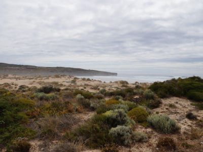 Wanderurlaub mit Esel Westkste Portugal Costa Vicentina
